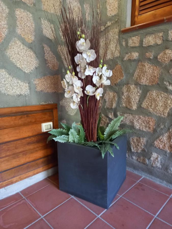 Hotel Olimpia Baja Sardinia Eksteriør billede