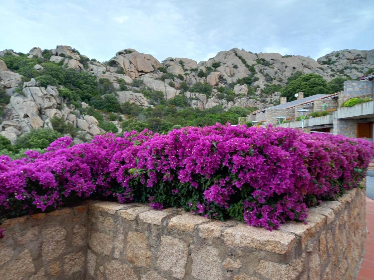 Hotel Olimpia Baja Sardinia Eksteriør billede